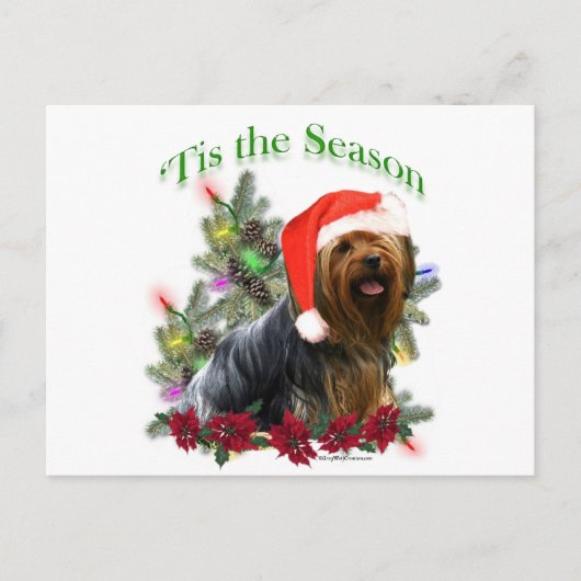 Yorkshire Terrier "Tis Postkarte (Vorderseite)