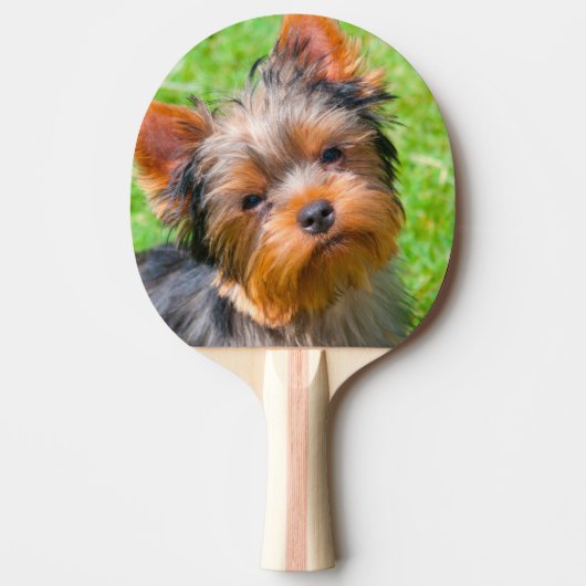 Yorkshire Terrier Tischtennis Schläger (Vorderseite)