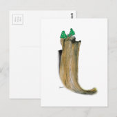 Yorkshire Terrier, tony fernandes Postkarte (Vorne/Hinten)