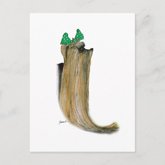 Yorkshire Terrier, tony fernandes Postkarte (Vorderseite)