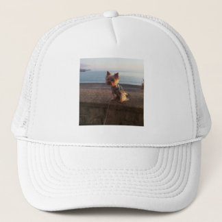 Yorkshire Terrier Truckerkappe