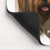 Yorkshire Terrier Türkei Mousepad (Ecke)