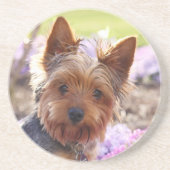 Yorkshire Terrier Untersetzer (Vorne)