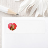 Yorkshire Terrier Valentine's Day (Insitu)