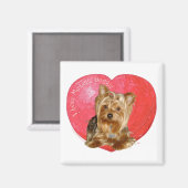 Yorkshire Terrier Valentine's Day Magnet (Vorderseite/Rückseite)