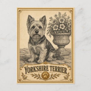Yorkshire Terrier, Vintage Heritage Hund Postkarte