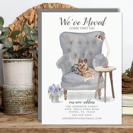 Yorkshire Terrier We Moved Moving Ankündigung