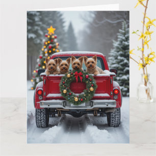 Yorkshire Terrier Weihnachten Rotes Lastwagen Gesc Karte