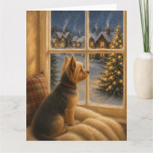 Yorkshire Terrier Weihnachtsfensterporträt