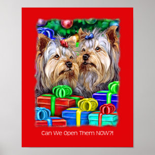 Yorkshire Terrier Weihnachtsgeschenke Poster