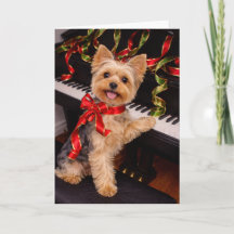 Yorkshire Terrier Weihnachtskarte mit Klavier