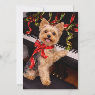 Yorkshire Terrier Weihnachtskarte mit Klavier Feiertagskarte