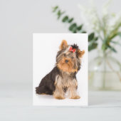 Yorkshire Terrier Welpe Doppy Blank Postkarte (Stehend Vorderseite)