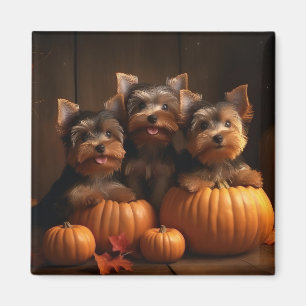 Yorkshire Terrier Welpe Herbstfreude Kürbis Magnet