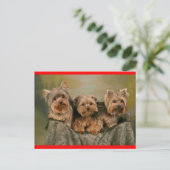 Yorkshire Terrier Welpe Hund Gruß Postkarte (Stehend Vorderseite)