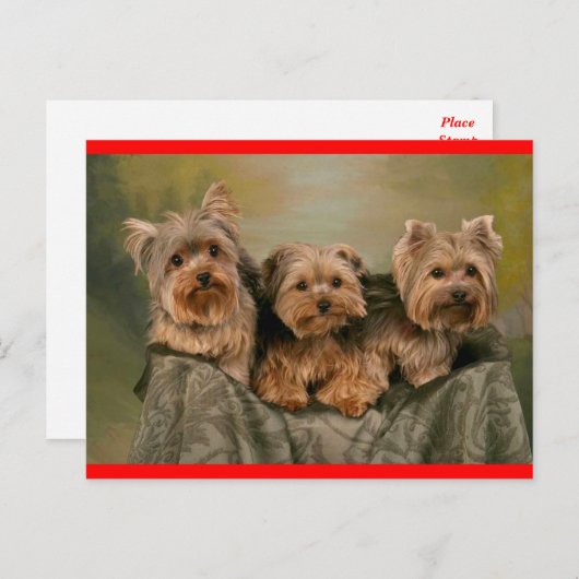 Yorkshire Terrier Welpe Hund Gruß Postkarte (Vorne/Hinten)