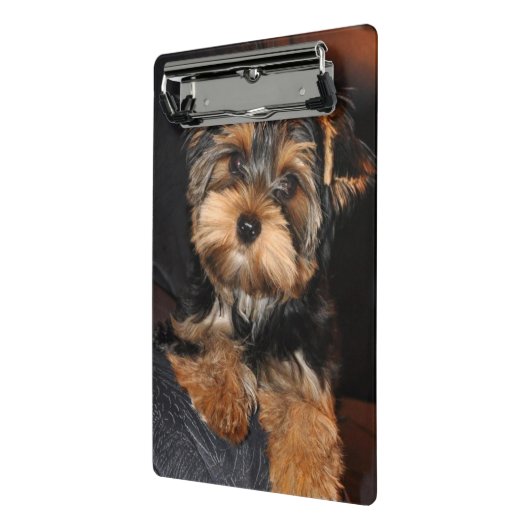 Yorkshire Terrier Welpe Mini Klemmbrett (Gewinkelt2)