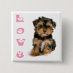 Yorkshire Terrier Welpenhund Rosa Liebe Button