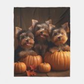 Yorkshire Terrier Welppy Autumn Delight Pumpkin Fleecedecke (Vorderseite)