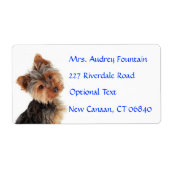 Yorkshire Terrier Welppy Name Address Mailing Labe (Vorne)