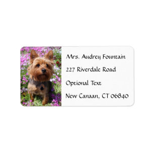 Yorkshire Terrier Welppy Name Address Mailing Labe Adressaufkleber