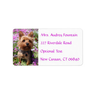 Yorkshire Terrier Welppy Name Address Mailing Labe Adressaufkleber