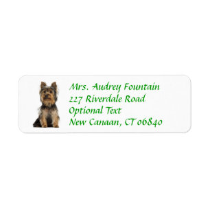 Yorkshire Terrier Welppy-Rückgabeadresse