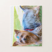 Yorkshire Terrier Yorkie Breed Doppy Puppy Puzzle (Vertikal)
