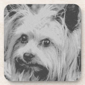 Yorkshire Terrier Yorkie Favorite Breed Getränkeuntersetzer (Vorderseite)