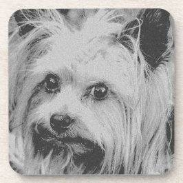 Yorkshire Terrier Yorkie Favorite Breed Getränkeuntersetzer