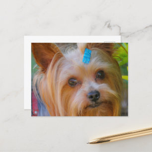 Yorkshire Terrier Yorkie Favorite Breed Postkarte