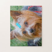 Yorkshire Terrier Yorkie Favorite Breed Puzzle (Vertikal)