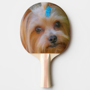 Yorkshire Terrier Yorkie Favorite Breed Tischtennis Schläger