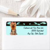 Yorkshire Terrier - Yorkie Kisses (Insitu)