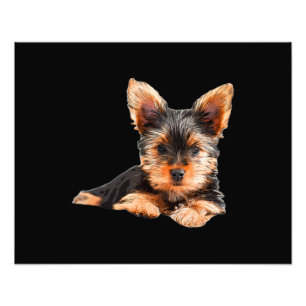Yorkshire Terrier Yorkie Puppy Dog Fotodruck