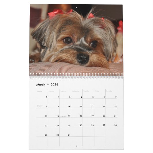Yorkshire Terrier Yorkies 2022 Calendar Kalender (Mär 2026)