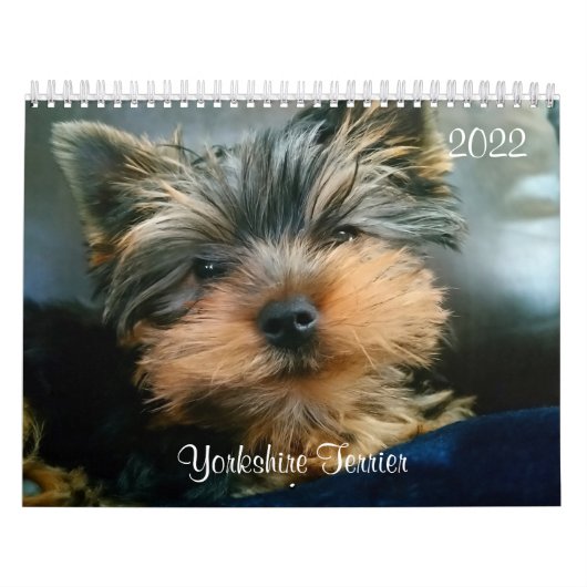 Yorkshire Terrier Yorkies 2022 Calendar Kalender (Titelbild)