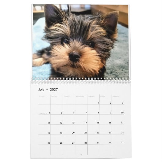 Yorkshire Terrier Yorkies 2022 Calendar Kalender (Jul 2027)