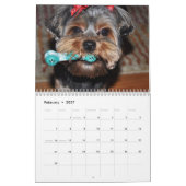 Yorkshire Terrier Yorkies 2022 Calendar Kalender (Feb 2027)