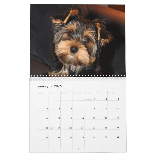 Yorkshire Terrier Yorkies 2022 Calendar Kalender (Jan 2026)