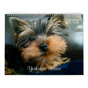 Yorkshire Terrier Yorkies 2023 Calendar Kalender