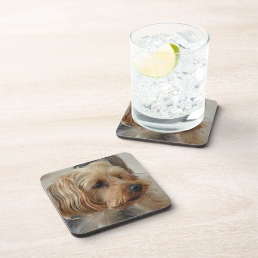 Yorkshire Terrier Zac Getränkeuntersetzer (Rechte Seite)