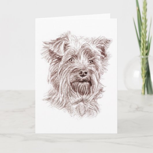Yorkshire Terrier Zeichnend Dankeskarte (Vorderseite)