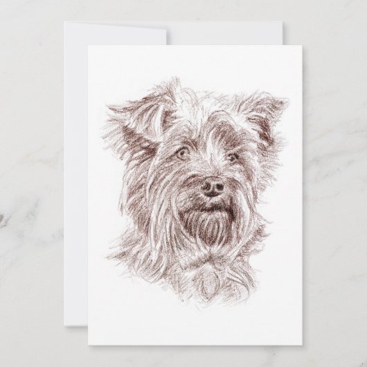 Yorkshire Terrier Zeichnend Einladung (Vorderseite)