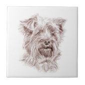 Yorkshire Terrier Zeichnend Fliese (Vorderseite)