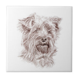 Yorkshire Terrier Zeichnend Fliese