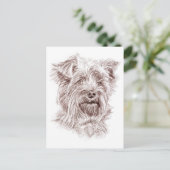 Yorkshire Terrier Zeichnend Postkarte (Stehend Vorderseite)