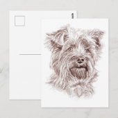 Yorkshire Terrier Zeichnend Postkarte (Vorne/Hinten)