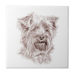 Yorkshire Terrier Zeichnung Fliese