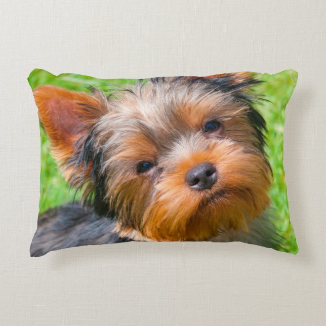 Yorkshire Terrier Zierkissen (Vorderseite)